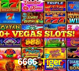 API Integration 6666 Tiger