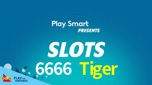 Programa VIP 6666 Tiger