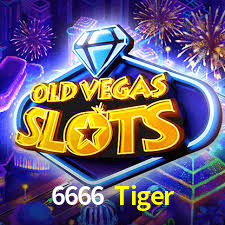 Tournaments 6666 Tiger