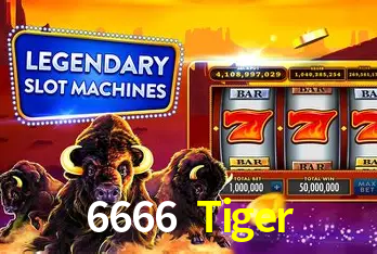 Seasonal Promotions 6666 Tiger
