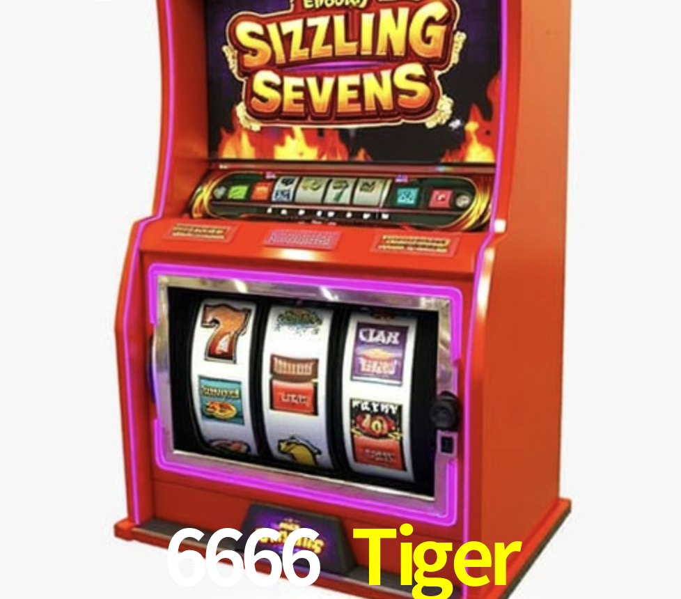 Security Systems 6666 Tiger