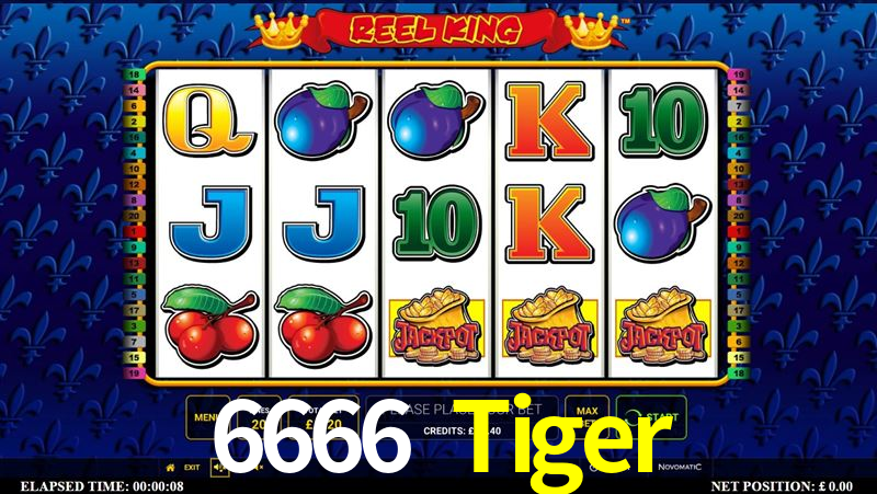 Crash Games Statistics 6666 Tiger